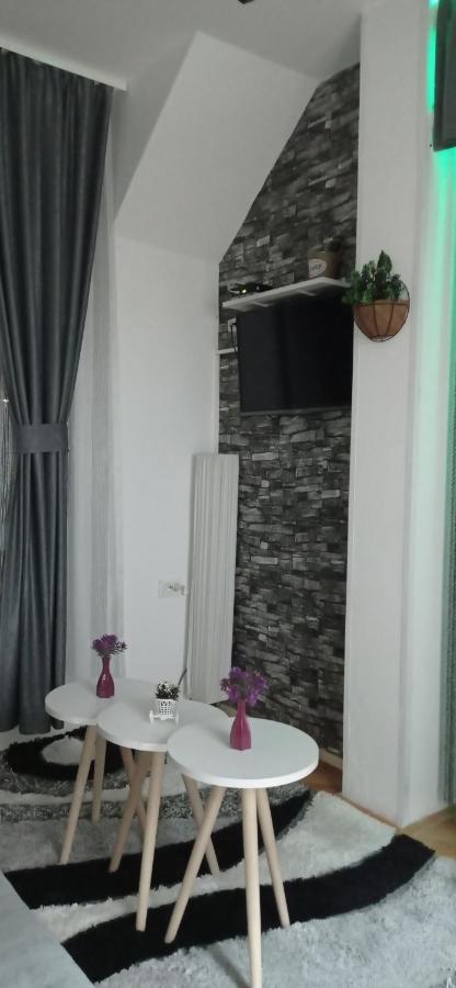 Apartment Holiday Lake - Piva 2022 普卢日内 外观 照片